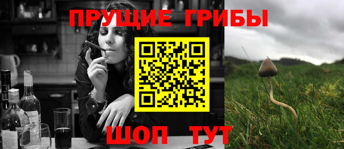 Псилоцибиновые грибы мухоморы Борисоглебск